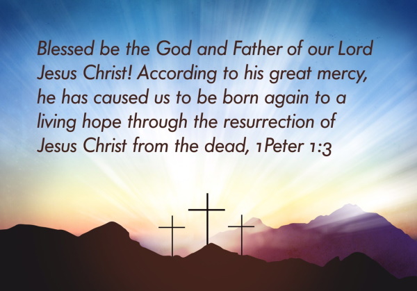 The Book of Philippians