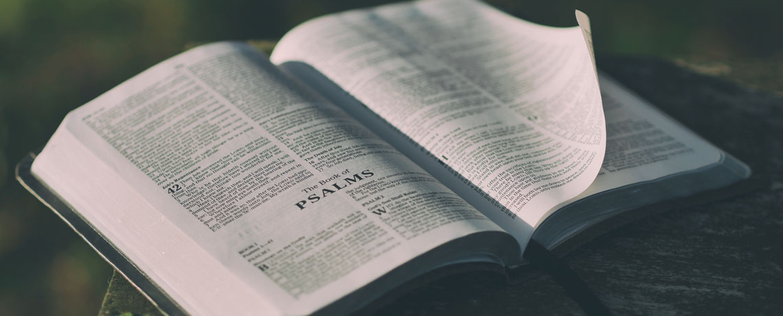 Sunday School & Bible Classes